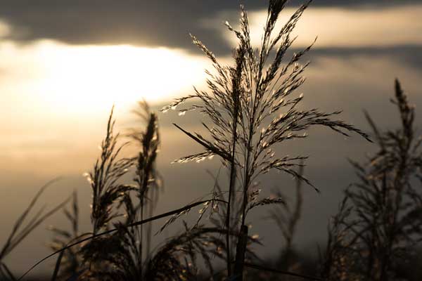 Apprendre la photo EOS_7D_Mark_II