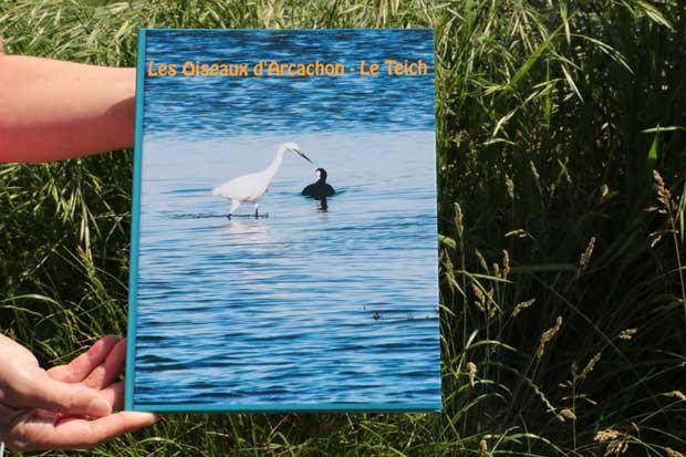 Le livre photo