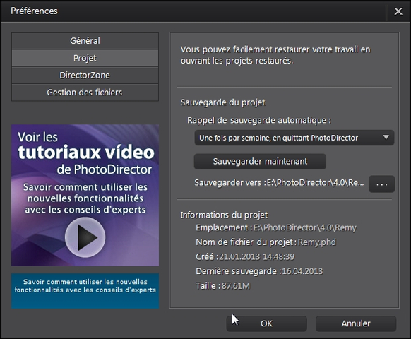 photodirector