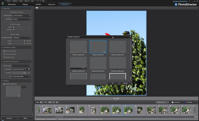 photodirector