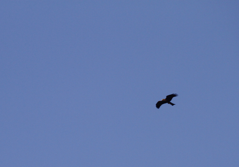 Zoom - Image 2 photographie