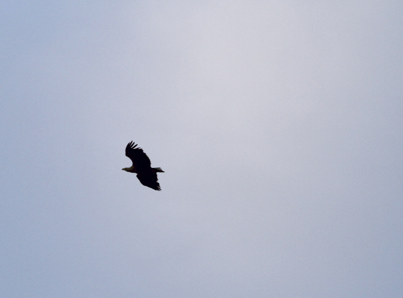 Zoom - Image 3 photographie