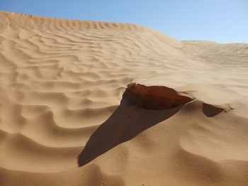 photographie