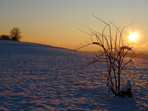 photographie