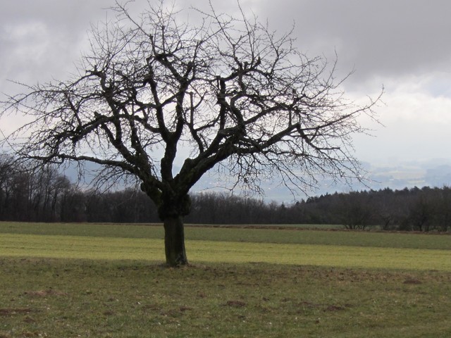 6 Grand angle 28mm photographie