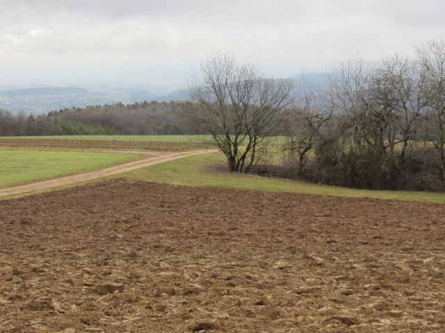 9 Paysage au grand angle photographie