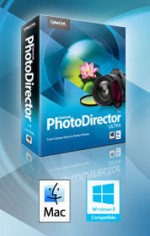 photodirector