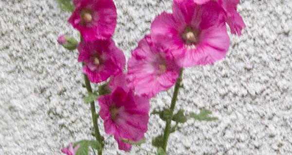 zoom lumix
